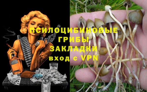 а пвп мука Няндома