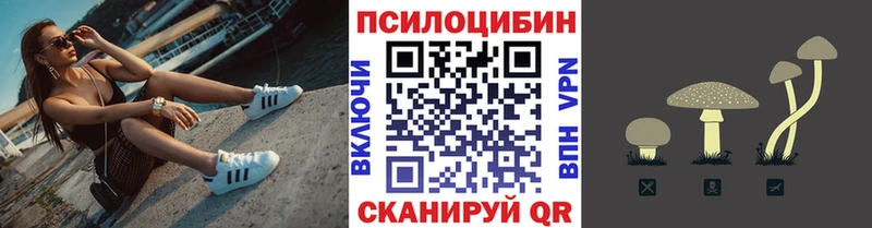 Псилоцибиновые грибы Cubensis  купить   Верхняя Тура 